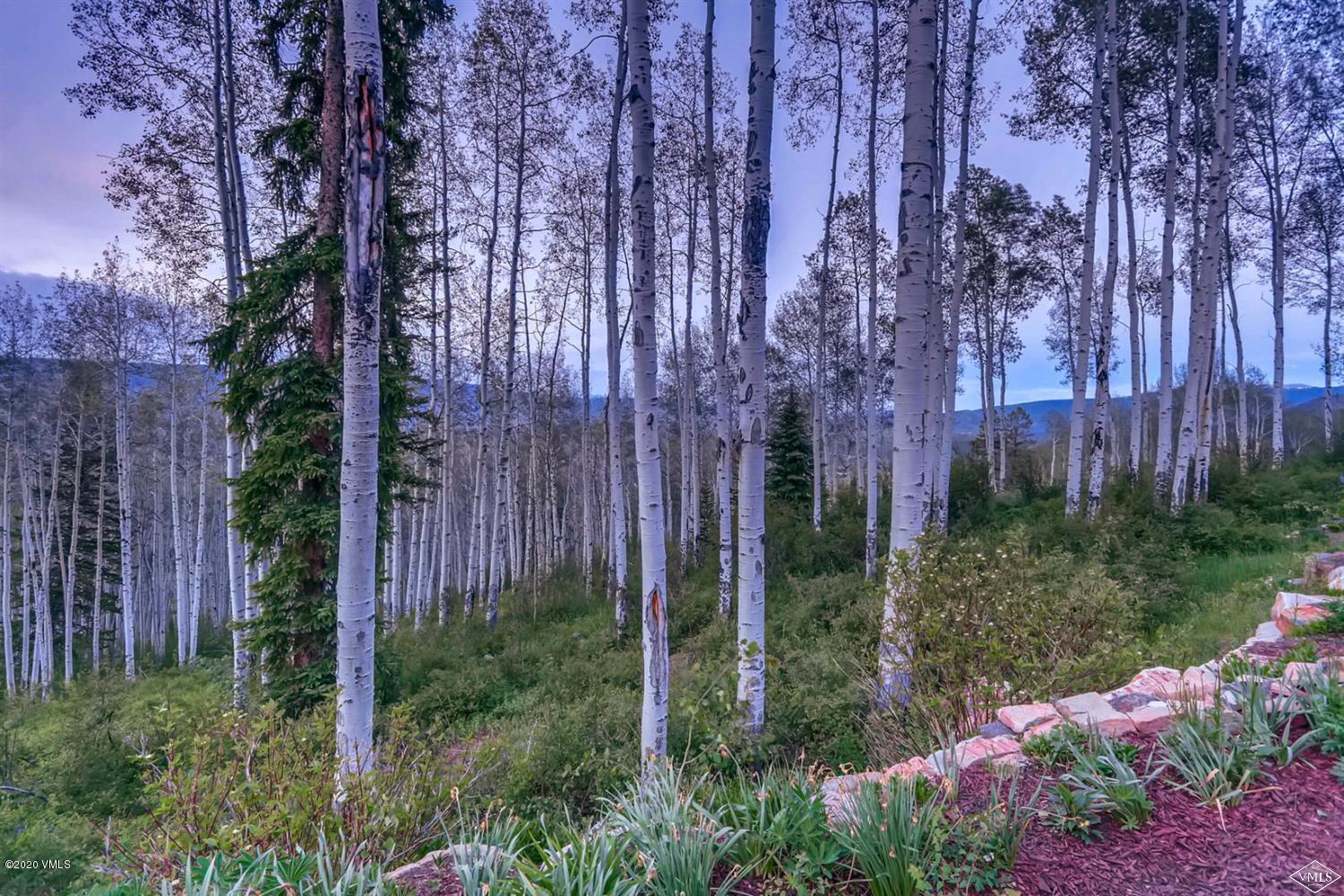 1027 Forest Trail Edwards, CO 81632 - Photo 3 of 45 Image 20