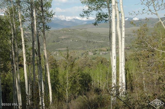 1027 Forest Trail Edwards, CO 81632 - Photo 31 of 45 20200425035641147995000000-o