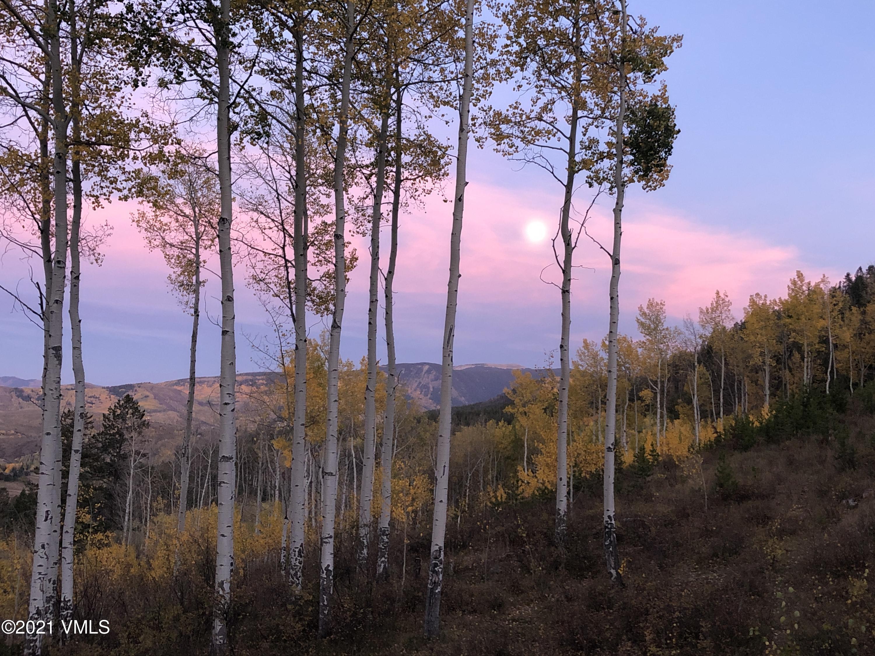 1027 Forest Trail Edwards, CO 81632 - Photo 34 of 45 IMG_3361