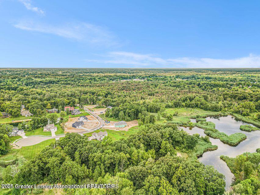 16725 Tormiston Road Haslett, MI 48840 - Photo 4 of 10 3