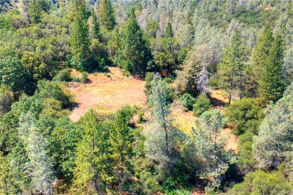 0 Swedes Flat Road Bangor, CA 95914 - Photo 13 of 37
