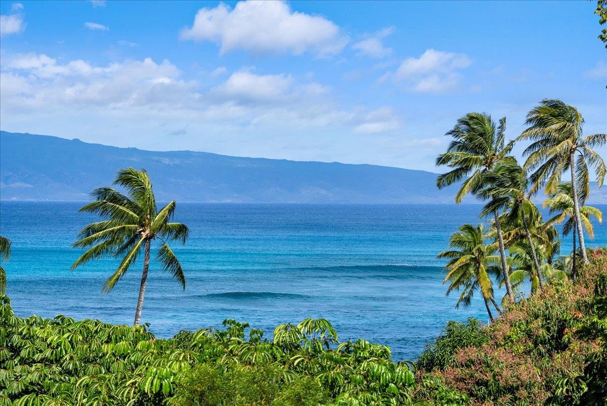 20 Hui Road East, Unit 9 Lahaina, HI 96761 - Photo 19 of 50