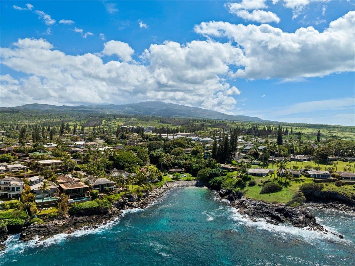 20 Hui Road East, Unit 9 Lahaina, HI 96761 - Photo 49 of 50