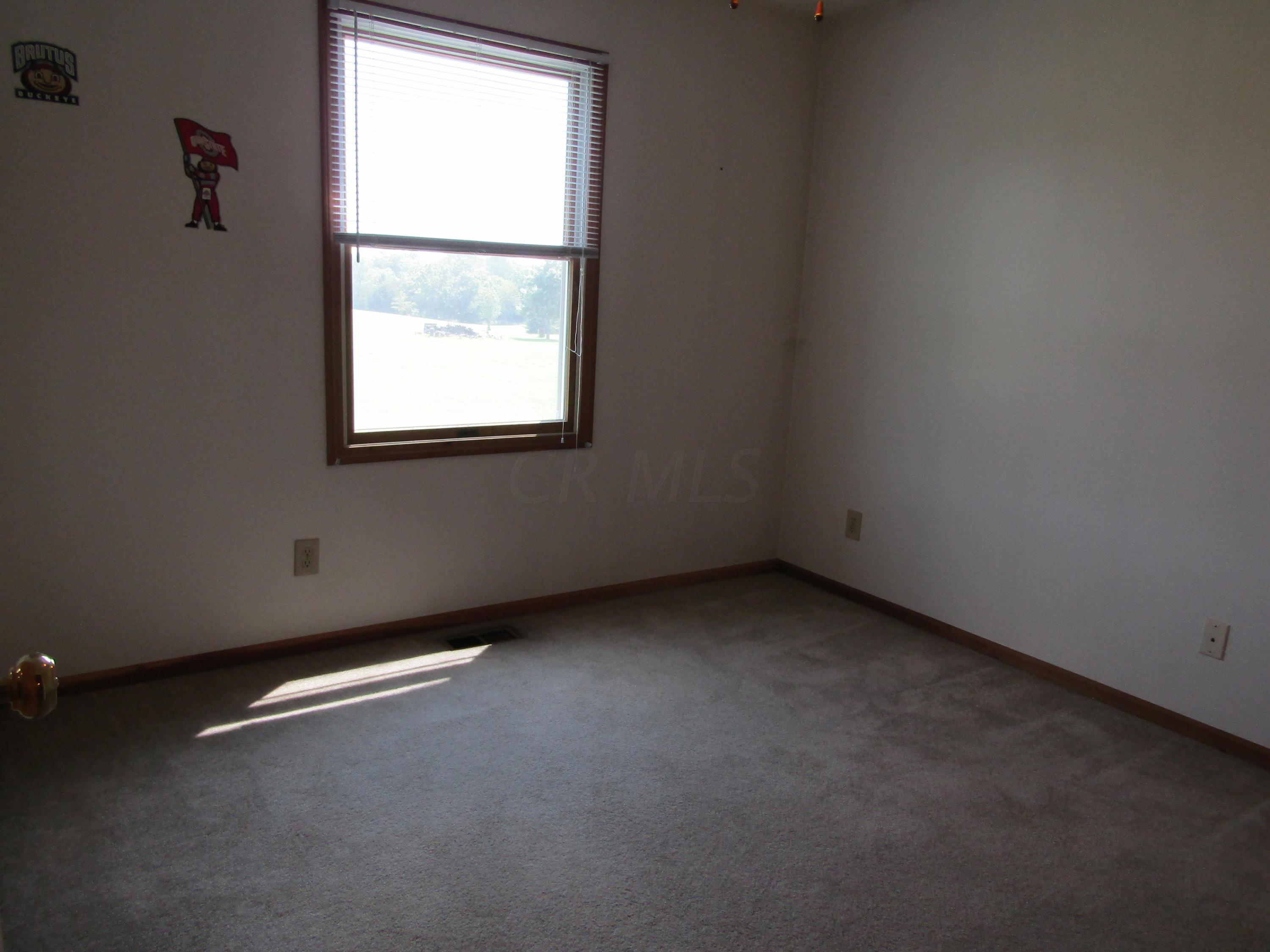 734 Ghormley Road Washington Court House, OH 43160 - Photo 34 of 39 2017-07-19 05.12.18