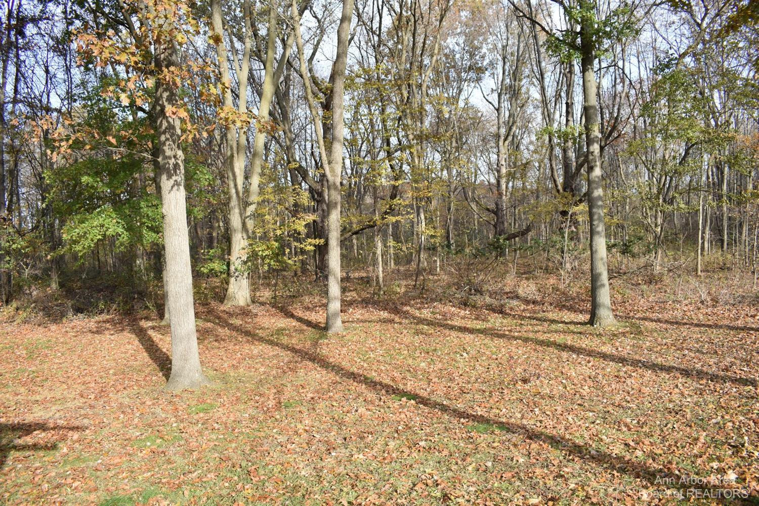 13498 Sherman Road Milan, MI 48160 - Photo 36 of 38 Photo 36