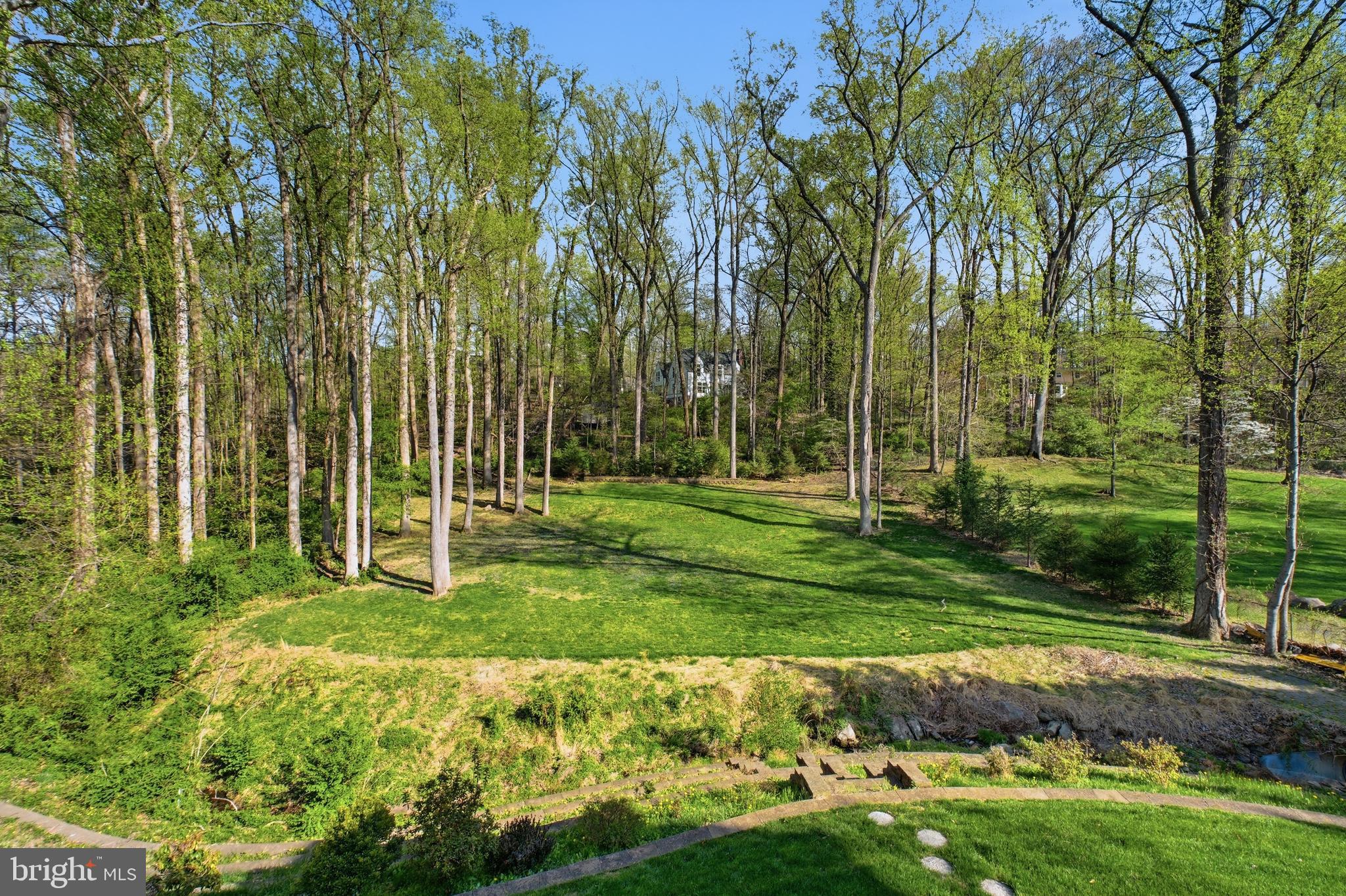 8735 Brook Road McLean, VA 22102 - Photo 12 of 20 a view of a park with large trees