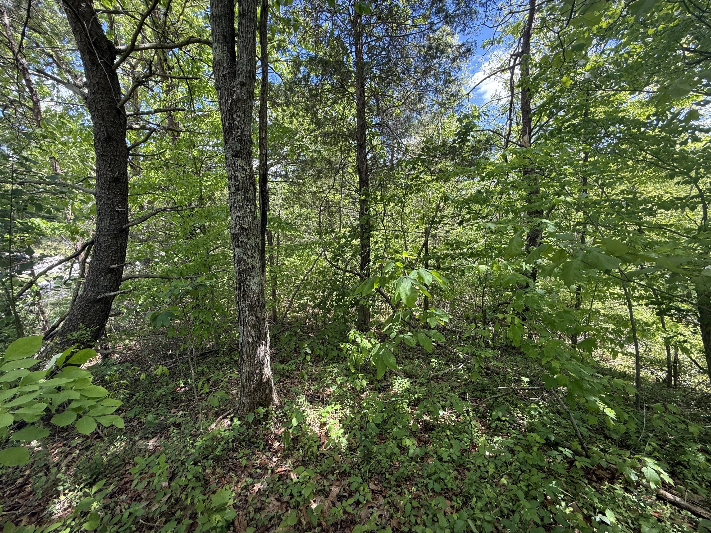 9999 Chestnut Flat Road McKee, KY 40447 - Photo 10 of 16 IMG_9176
