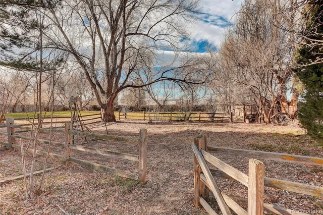 a view of a field with trees