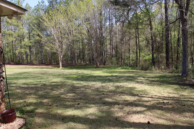 a view of outdoor space with trees all around