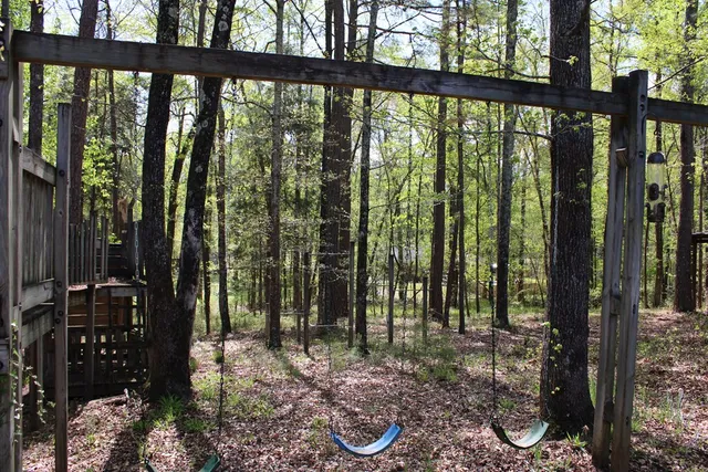 a view of backyard with green space