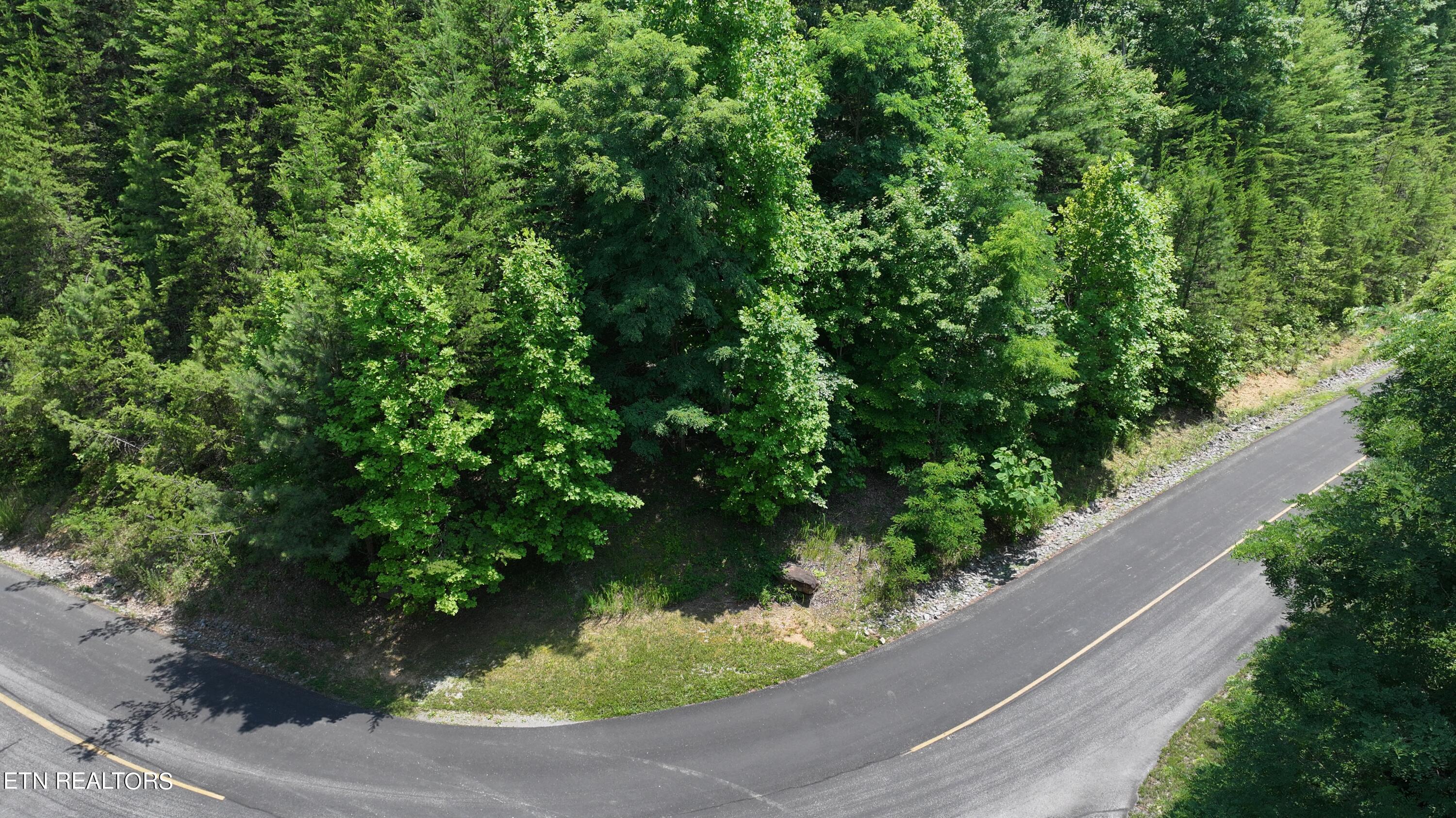 Lot 133 Long Rifle Sevierville, TN 37862 - Photo 11 of 19 DJI_20240614130522_0742_D