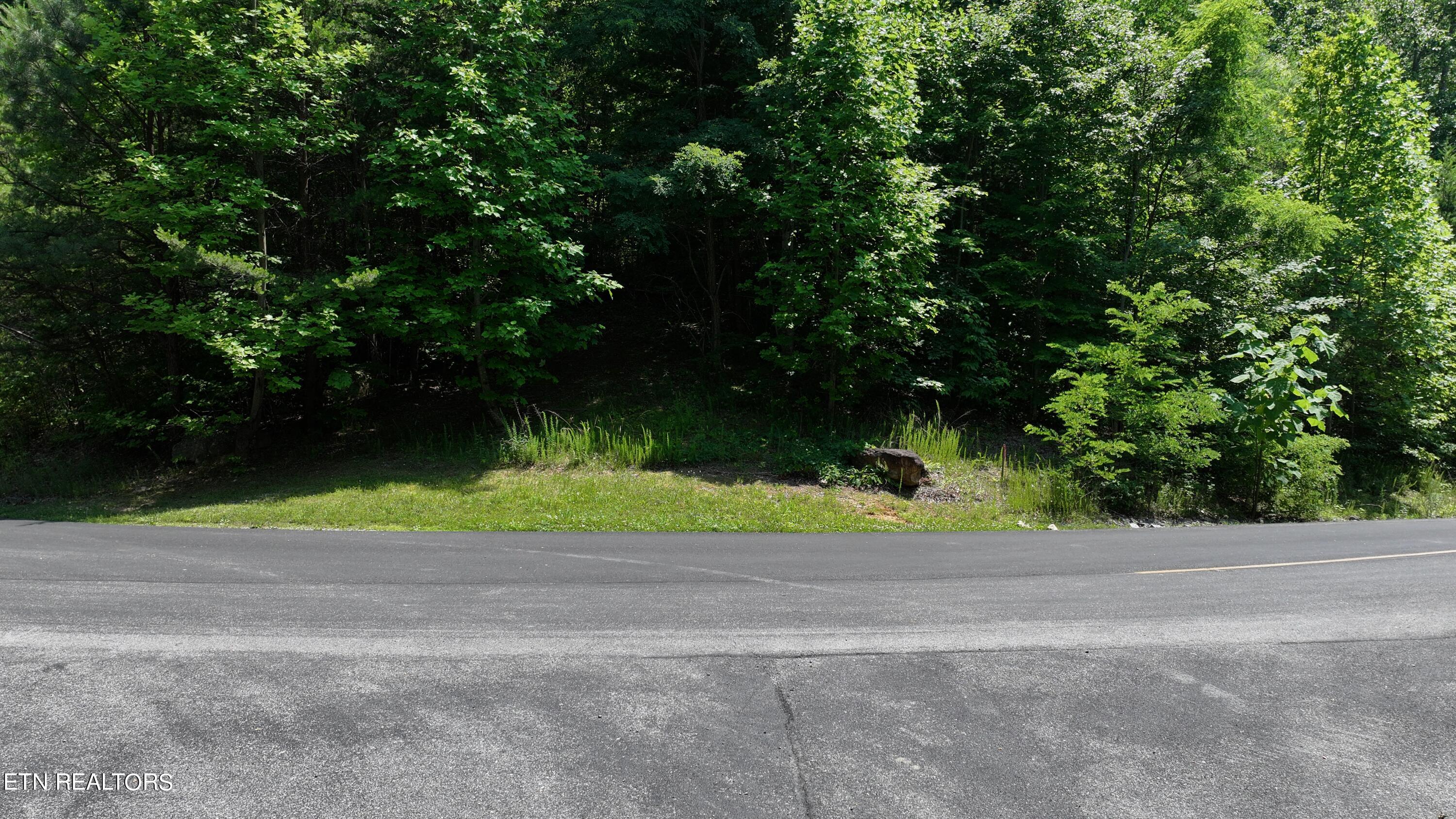 Lot 133 Long Rifle Sevierville, TN 37862 - Photo 12 of 19 DJI_20240614130557_0745_D