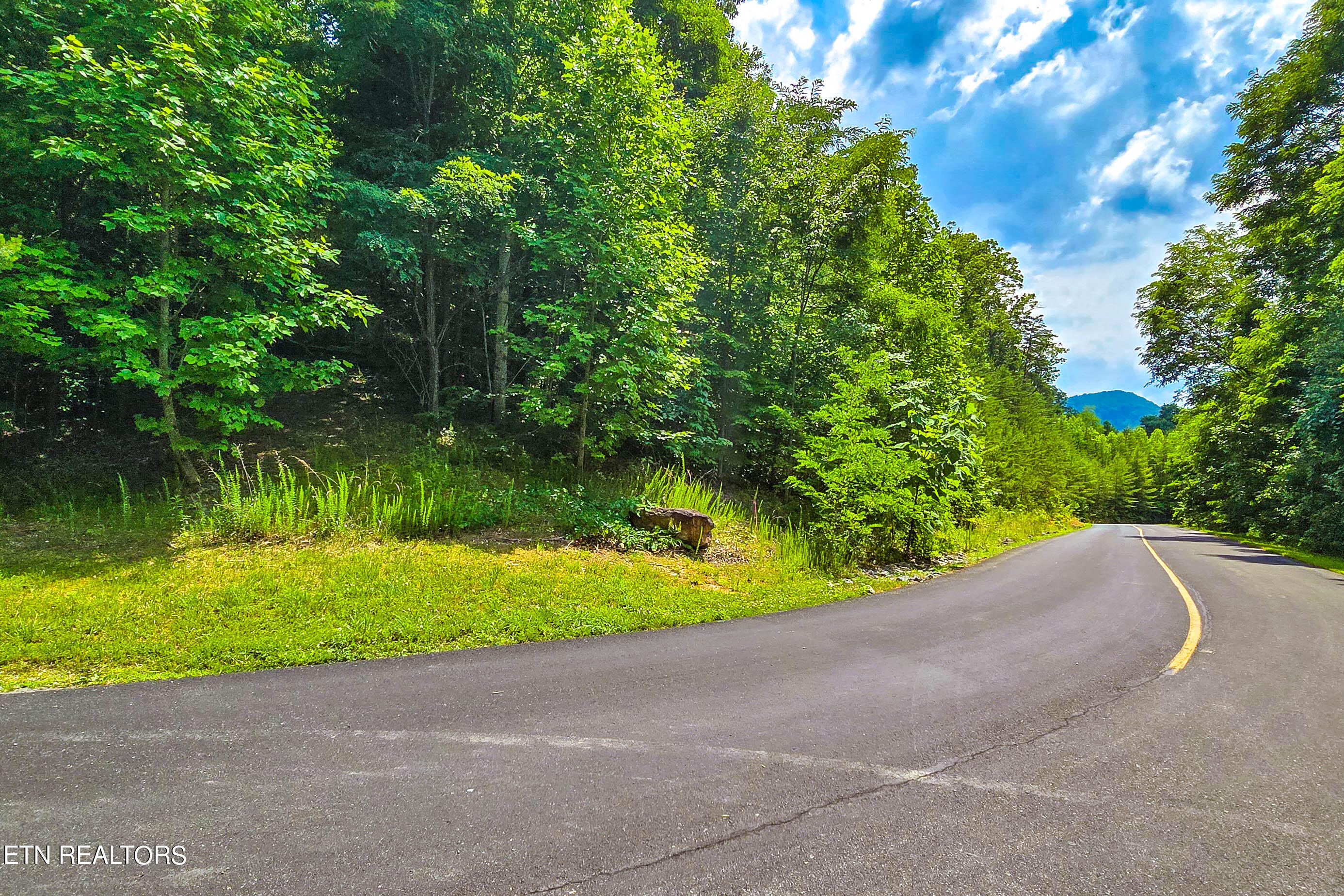 Lot 133 Long Rifle Sevierville, TN 37862 - Photo 13 of 19 20240618_151846