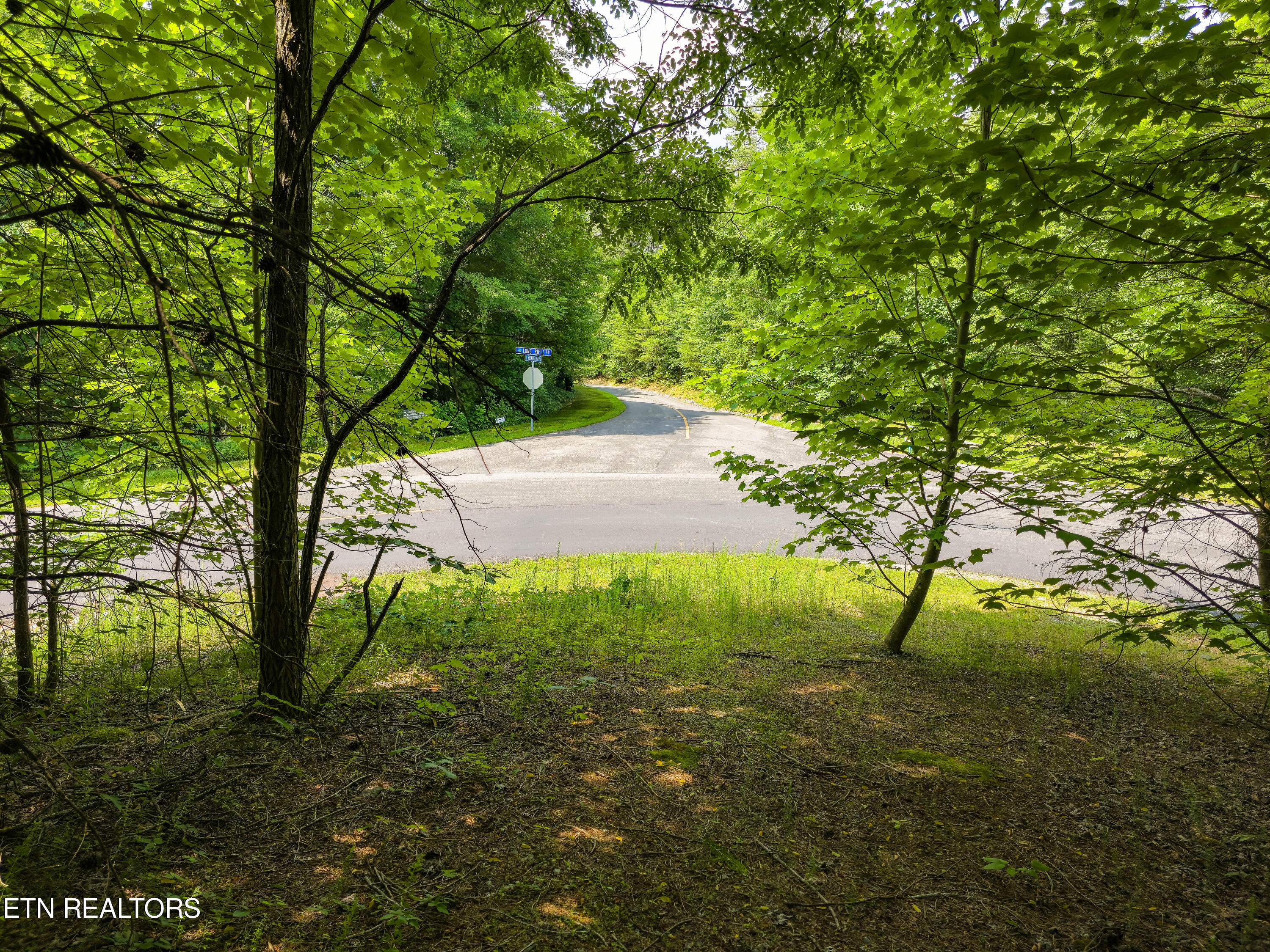Lot 133 Long Rifle Sevierville, TN 37862 - Photo 14 of 19 20240618_152052