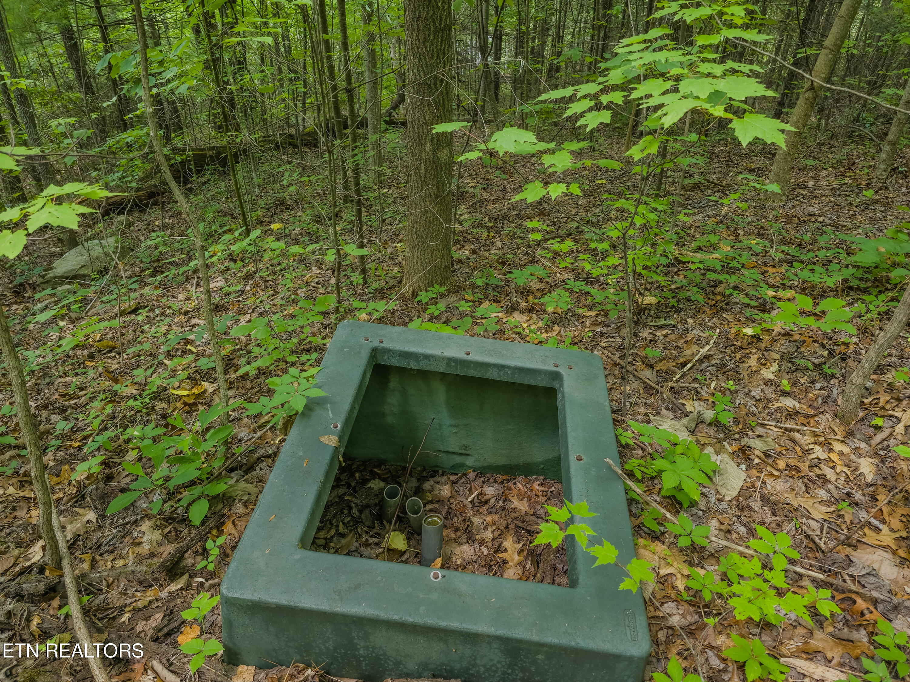 Lot 133 Long Rifle Sevierville, TN 37862 - Photo 15 of 19 20240618_152815