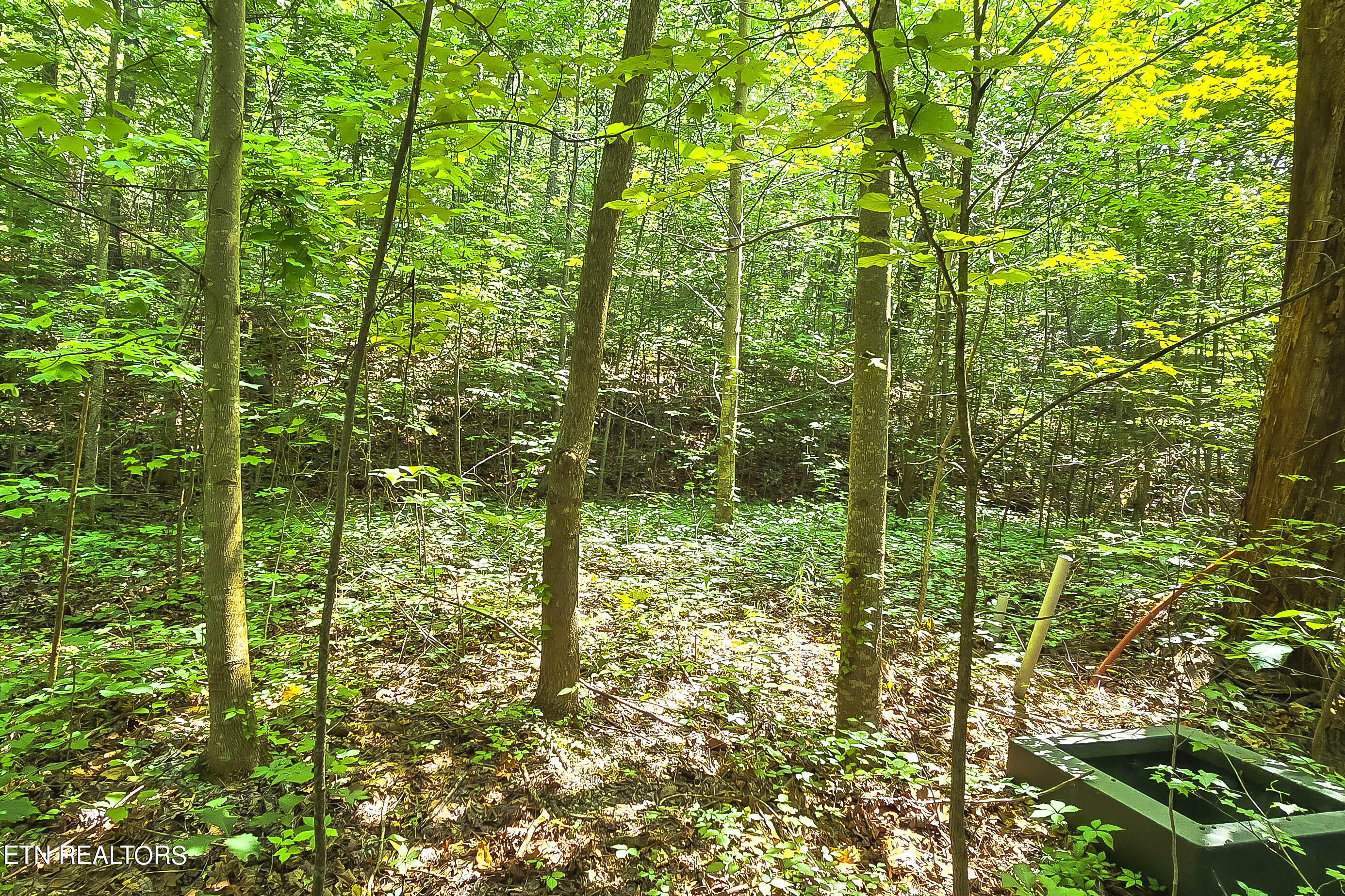 Lot 133 Long Rifle Sevierville, TN 37862 - Photo 16 of 19 20240618_153250