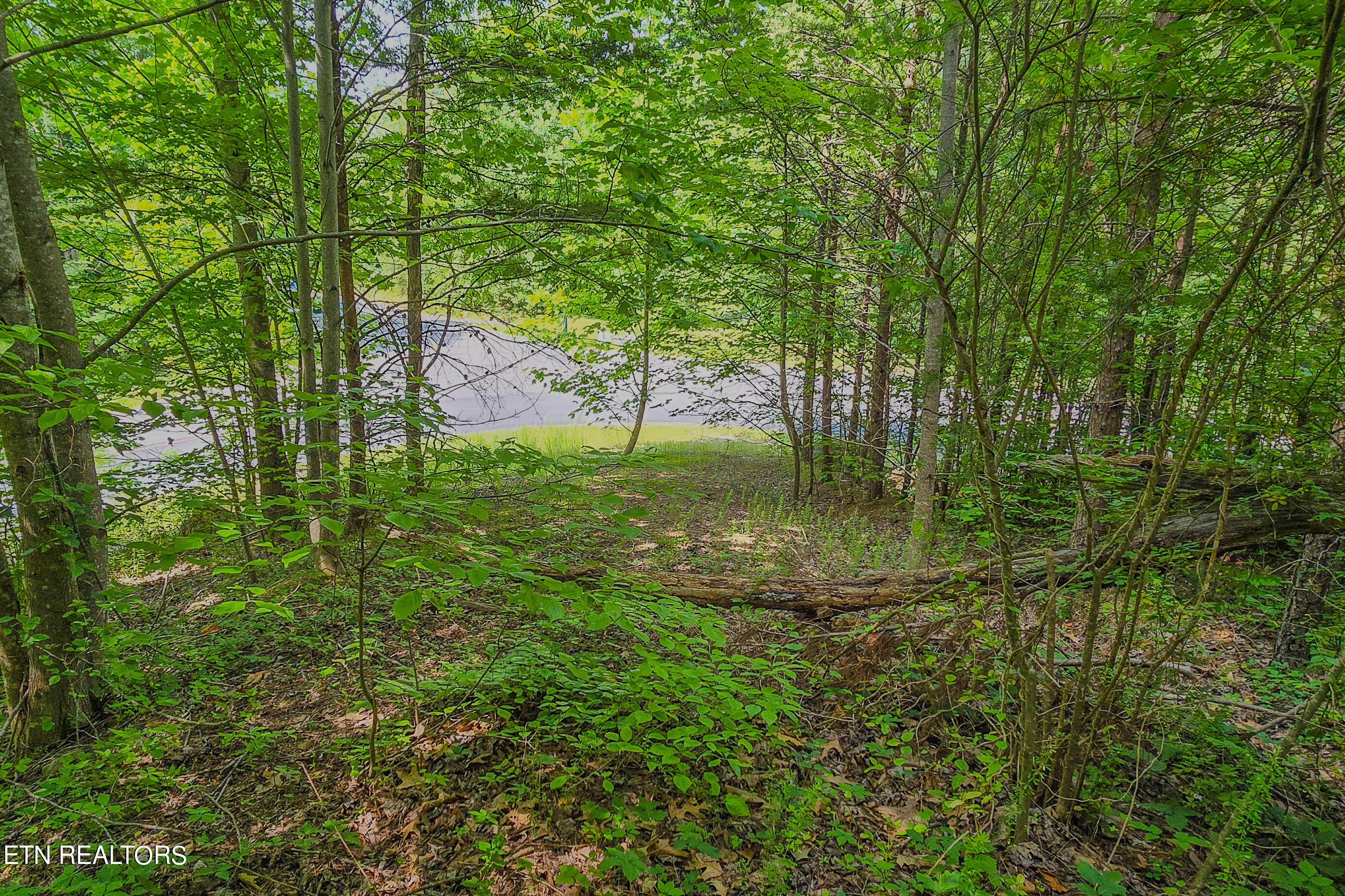 Lot 133 Long Rifle Sevierville, TN 37862 - Photo 18 of 19 20240618_154007