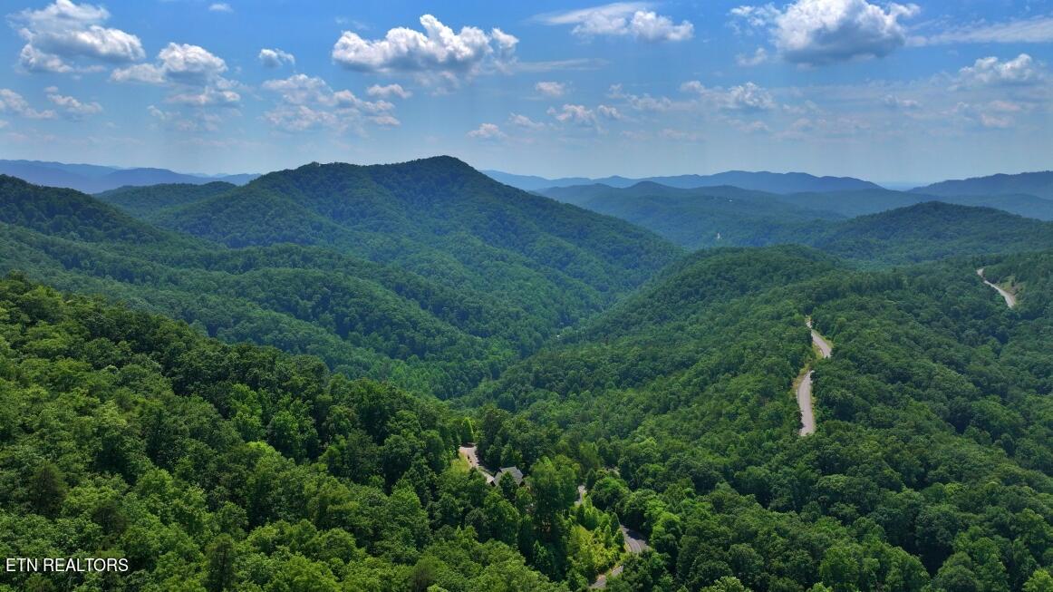 Lot 133 Long Rifle Sevierville, TN 37862 - Photo 6 of 19 kvcore