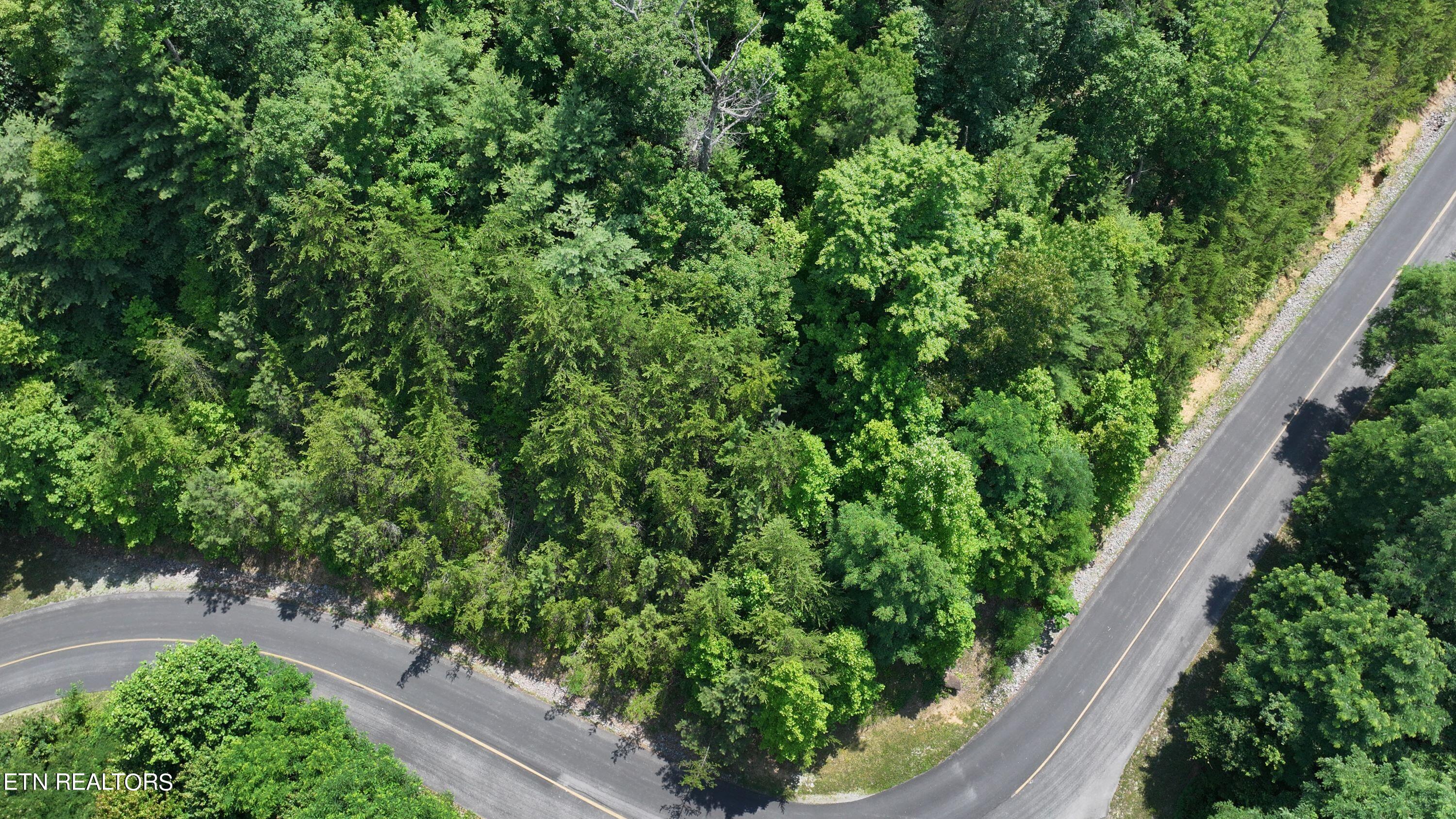 Lot 133 Long Rifle Sevierville, TN 37862 - Photo 10 of 19 DJI_20240614130453_0741_D
