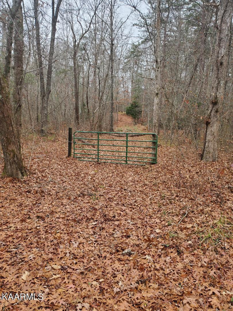 246 Scott Wyatt Road Deer Lodge, TN 37726 - Photo 1 of 5 Scott Wyatt Pictures