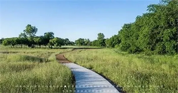 a view of a lake with a yard and large trees