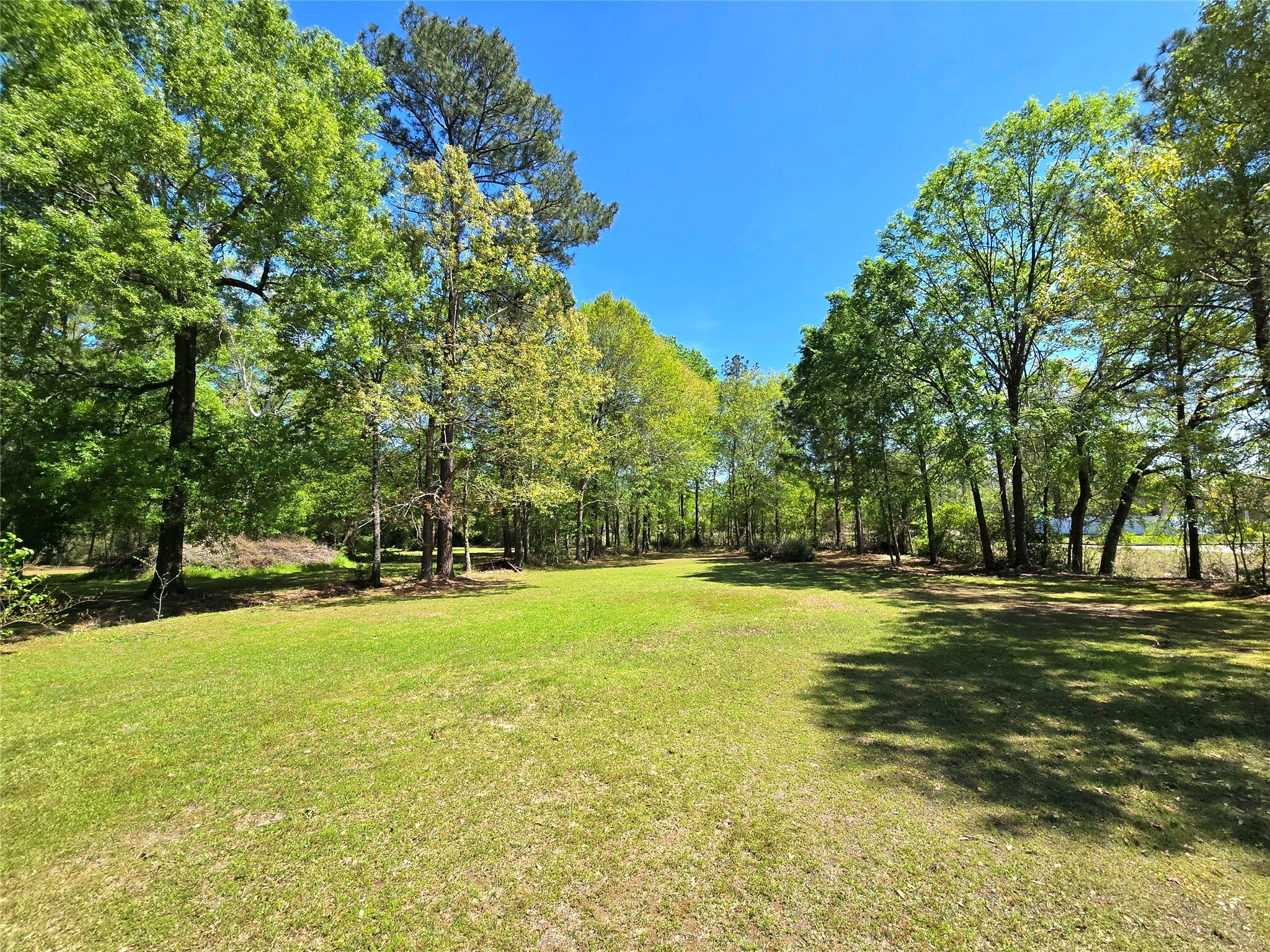 620 Easy Street Cleveland, TX 77327 - Photo 21 of 26 a view of a trees in a yard