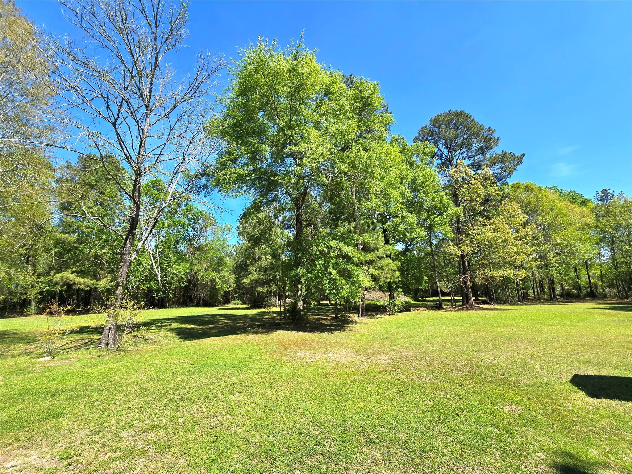 620 Easy Street Cleveland, TX 77327 - Photo 22 of 26 a view of swimming pool with a yard