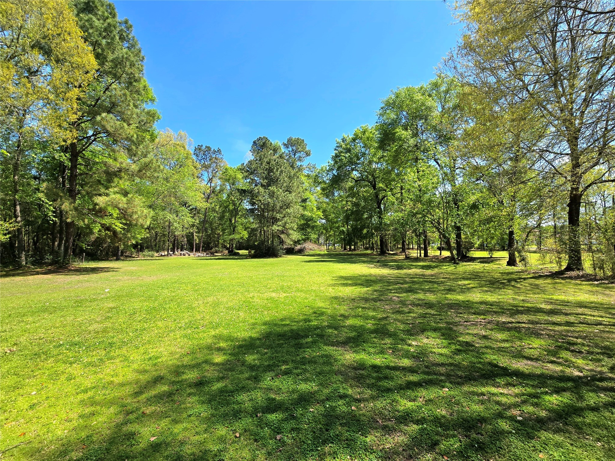 620 Easy Street Cleveland, TX 77327 - Photo 24 of 26 a view of field with trees