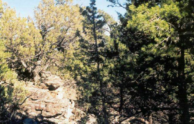 2 Dream Ridge Ridgway, CO 81432 - Photo 7 of 8 a view of a tree