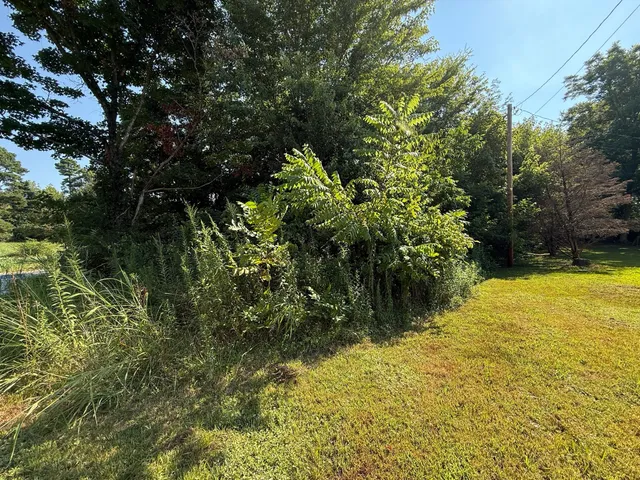 a view of outdoor space yard and swimming pool