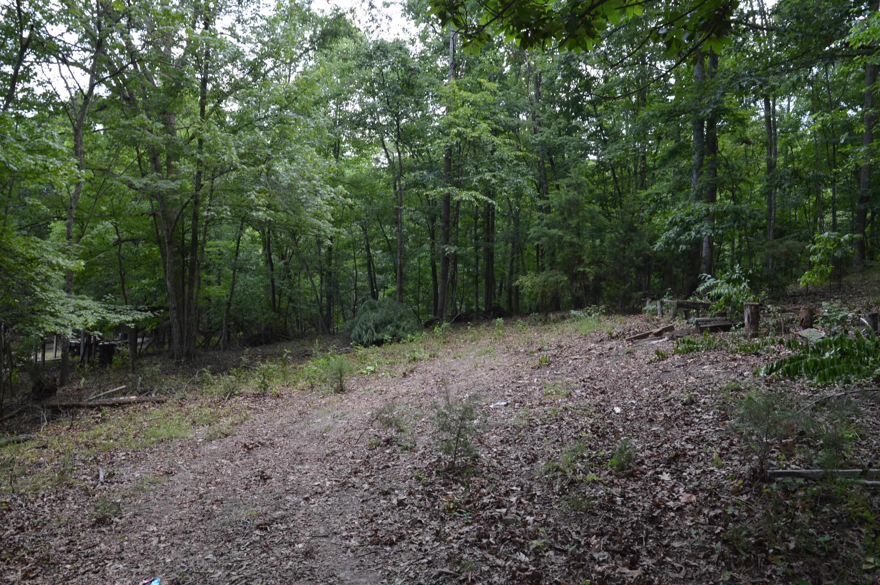 Tbd Paris Mountain Road Elliston, VA 24087 - Photo 4 of 11 Gallery Image 4