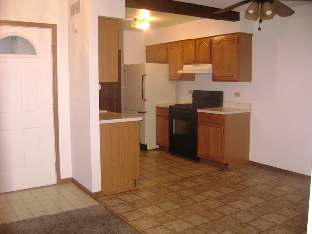 855 Black Road Joliet, IL 60435 - Photo 10 of 20