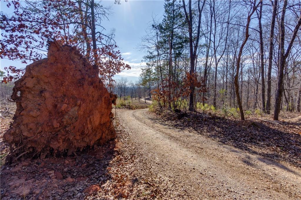 170 Sperin Cabinet Shop Road Ball Ground, GA 30107 - Photo 18 of 19