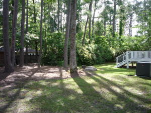503 Forest Hills Road Walterboro, SC 29488 - Photo 7 of 9 backyard