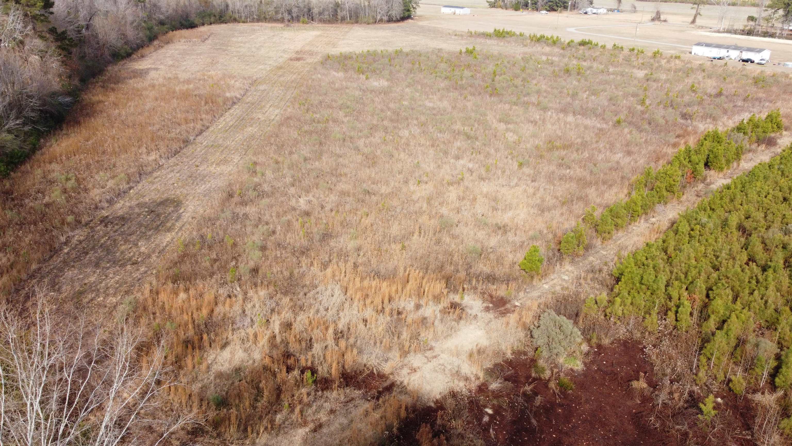 Tbd Cool Springs Road Marion, SC 29571 - Photo 3 of 10