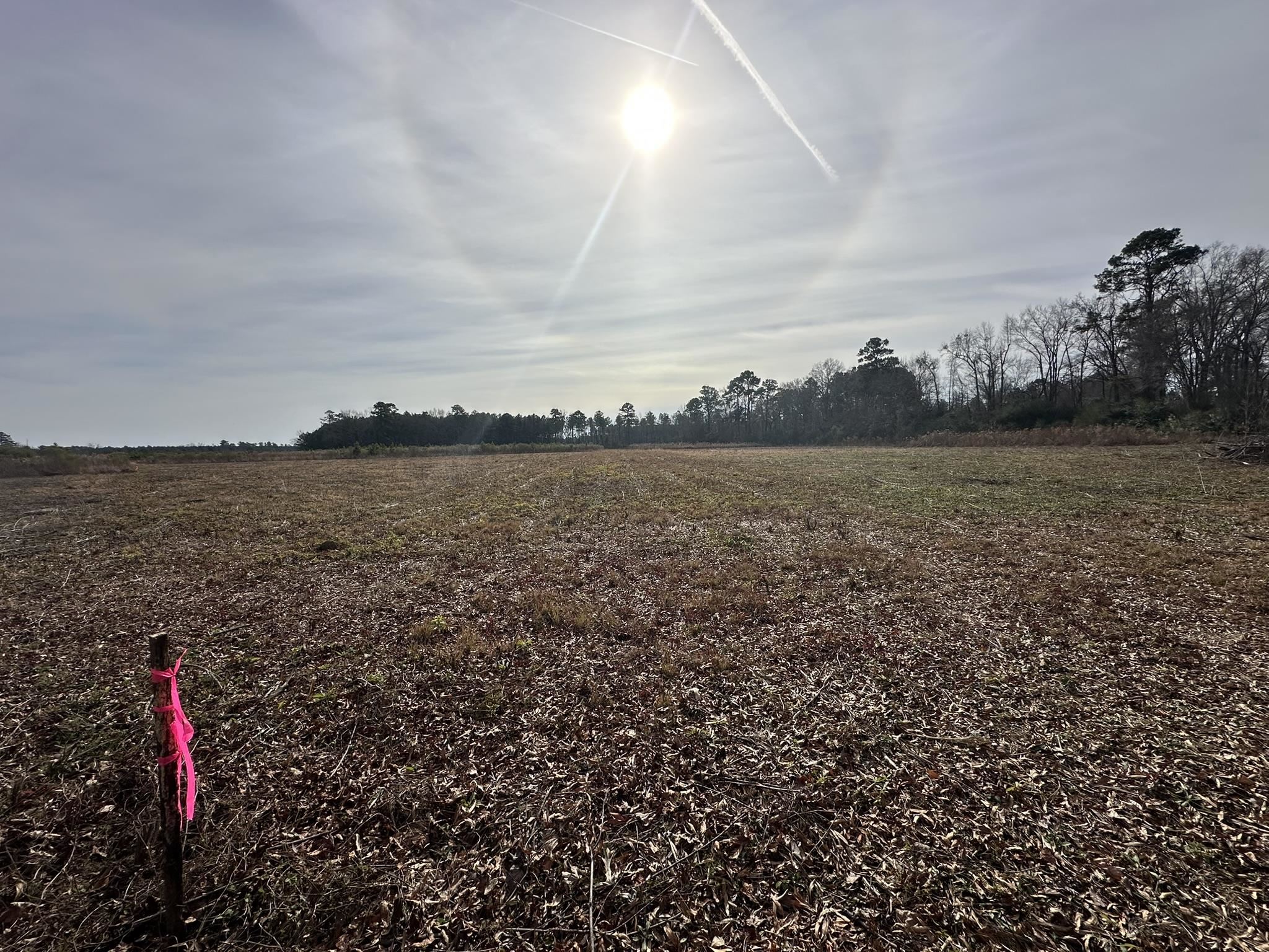 Tbd Cool Springs Road Marion, SC 29571 - Photo 5 of 10