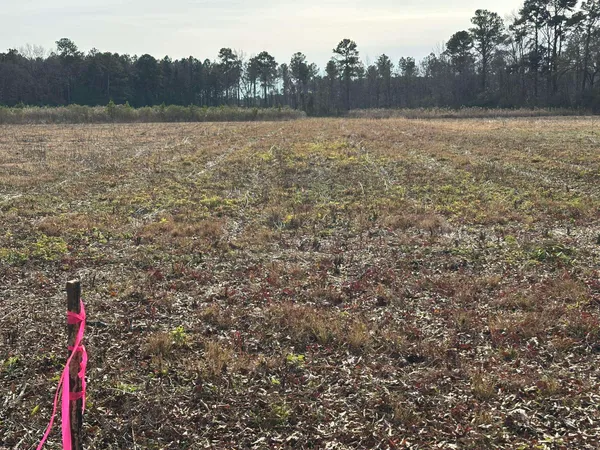 $80,000 | Tbd Cool Springs Road, Marion, SC 29571