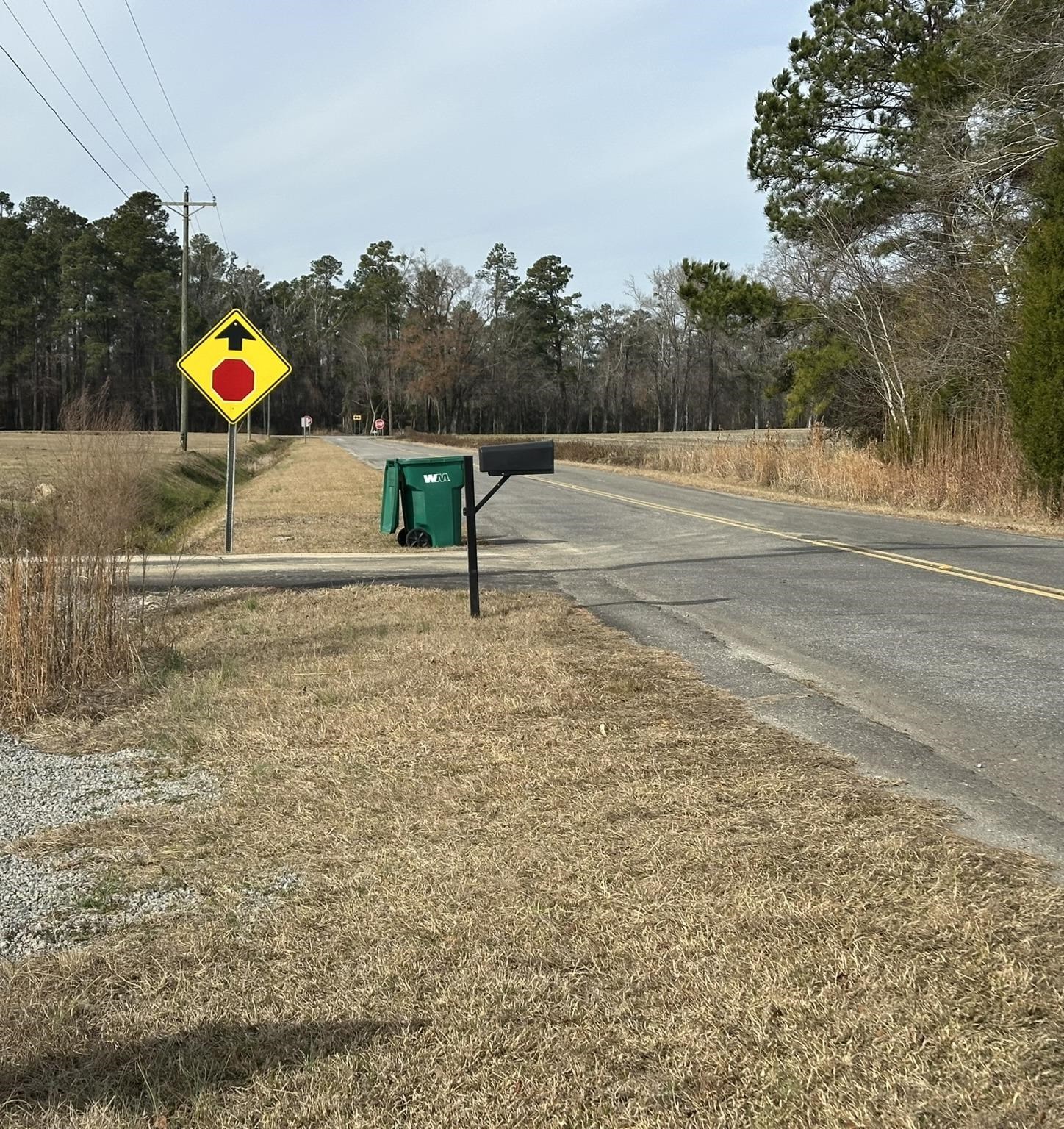 Tbd Cool Springs Road Marion, SC 29571 - Photo 8 of 10