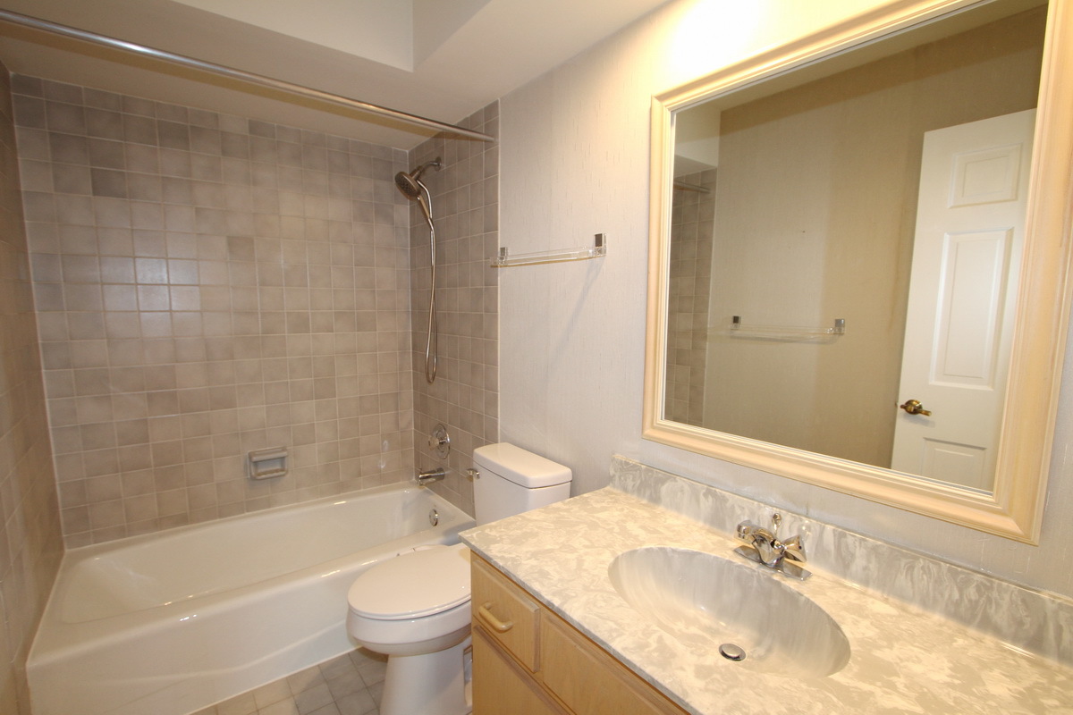 1960 Slippery Rock Road Naperville, IL 60565 - Photo 19 of 22 a bathroom with a sink toilet and shower