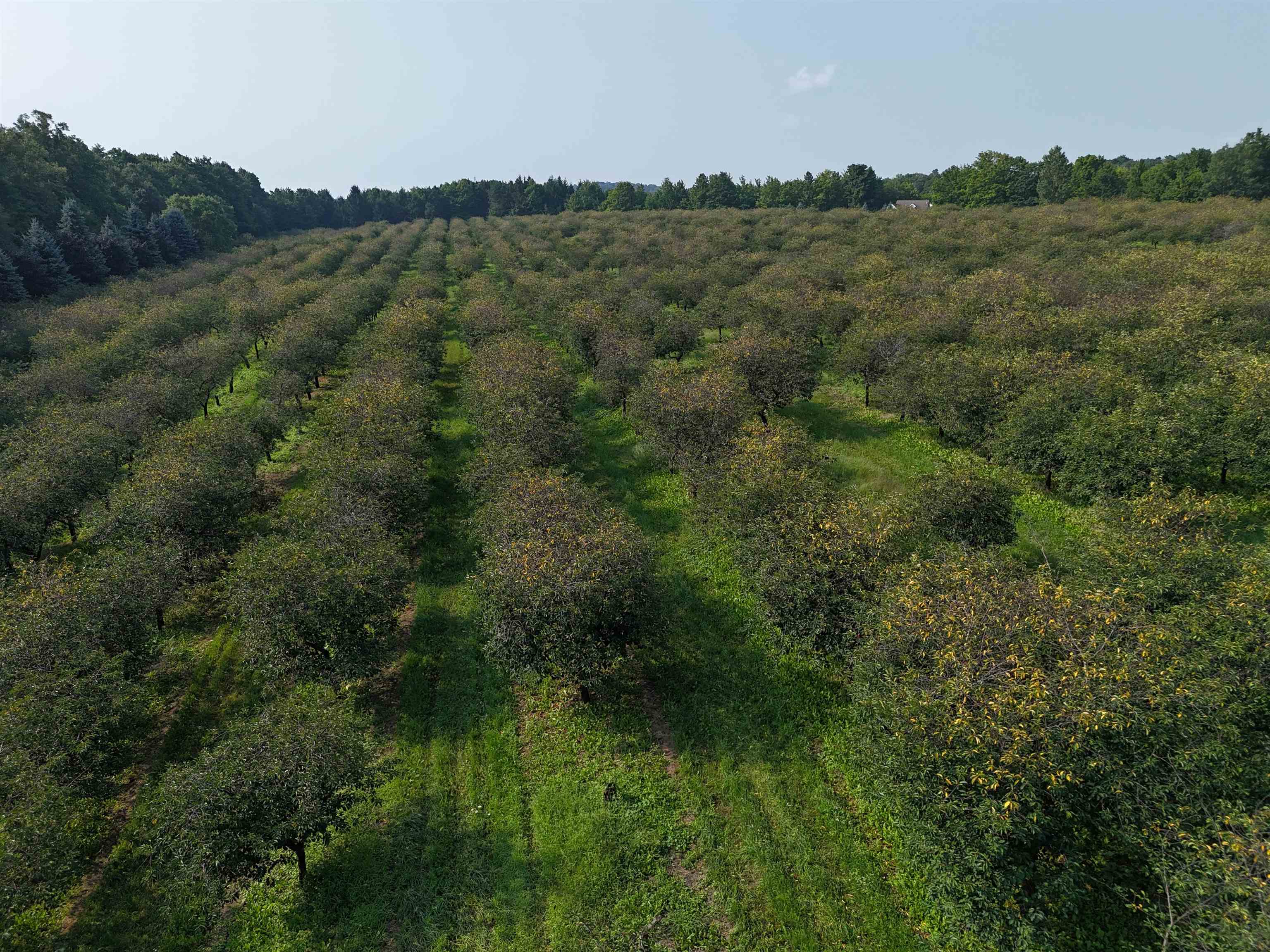 0 East Tatch Road Northport, MI 49670 - Photo 6 of 12