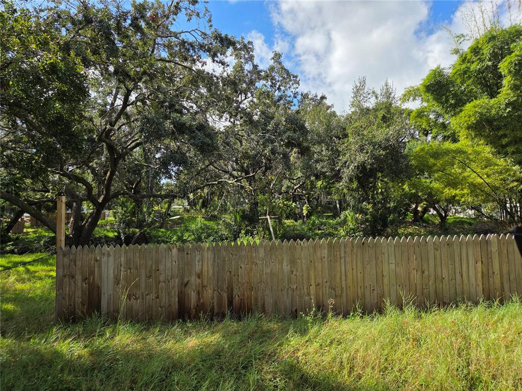 9802 Parsons Street Tampa, FL 33615 - Photo 2 of 2 a garden view