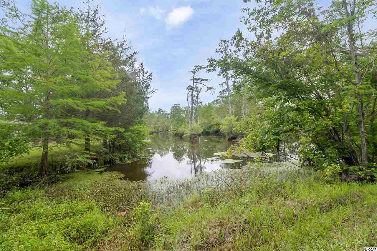 573 Snows Lake Road Johnsonville, SC 29555 - Photo 23 of 30