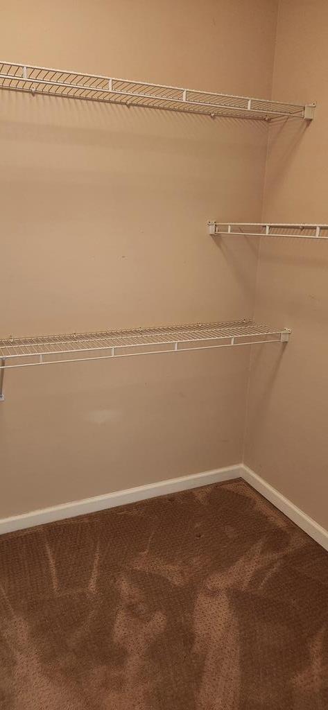 994 Timber Creek Way Columbus, GA 31904 - Photo 20 of 59