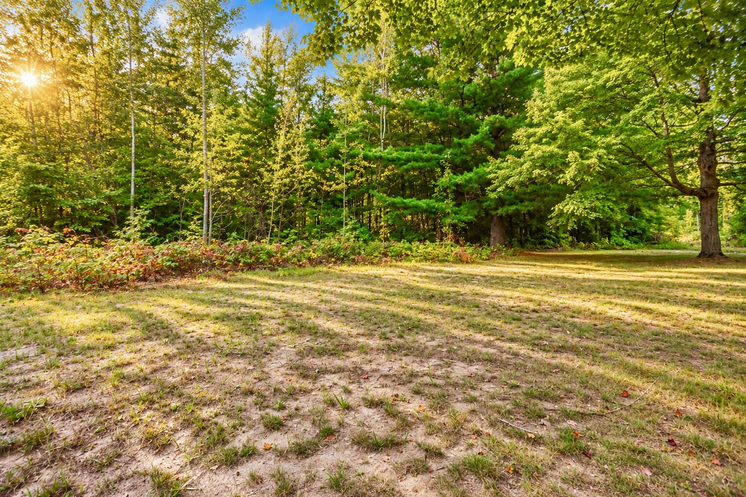 0 Southeast County Line Rd Mount Mount Pleasant, MI 48858 - Photo 13 of 20 13