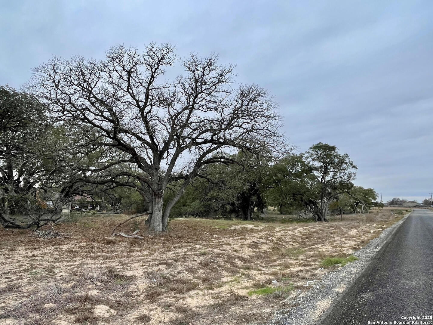 100 Pradera Rdg Drive Floresville, TX 78114 - Photo 12 of 17 a view of a yard with trees