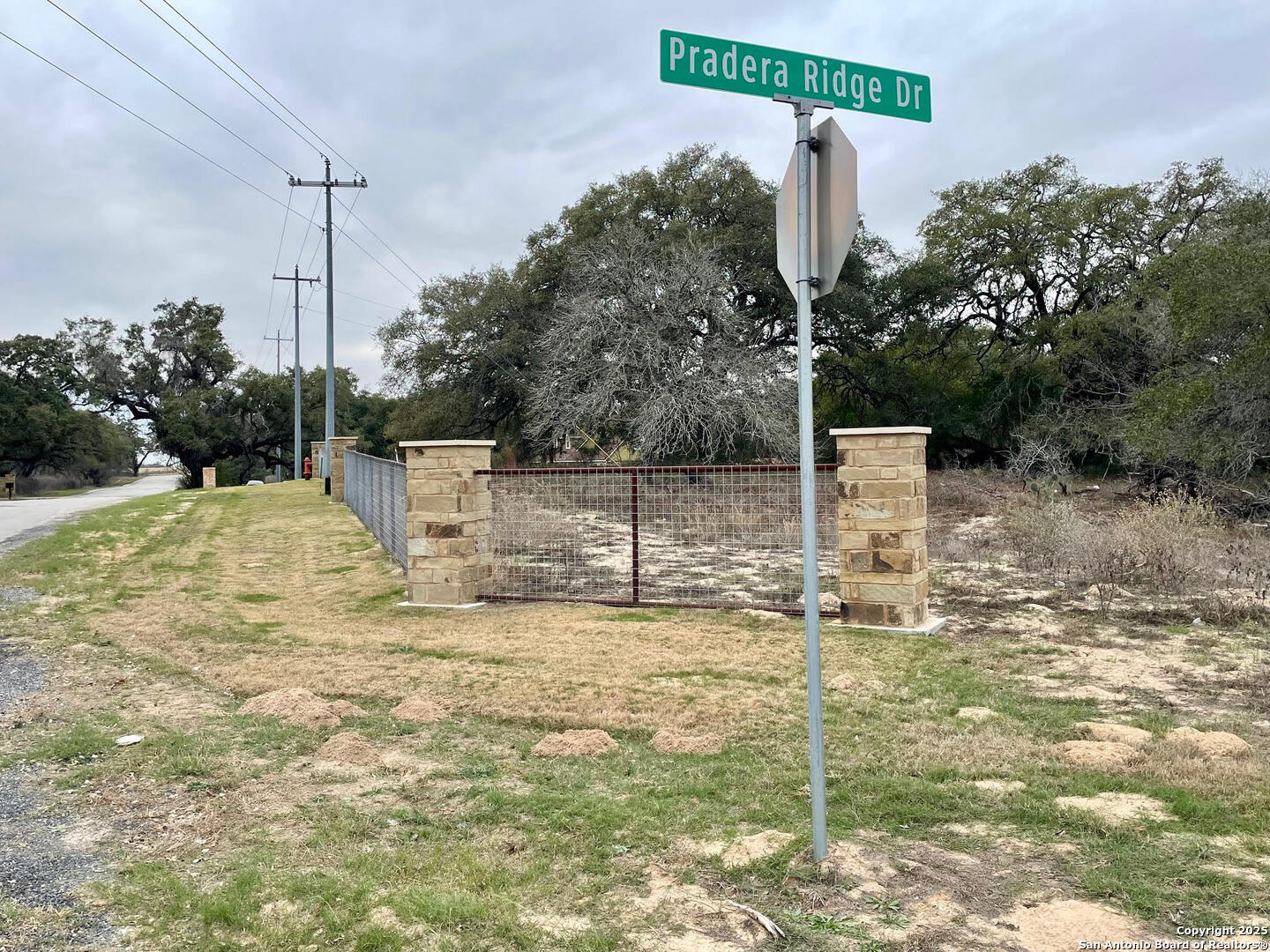 100 Pradera Rdg Drive Floresville, TX 78114 - Photo 4 of 17 a house view with a yard