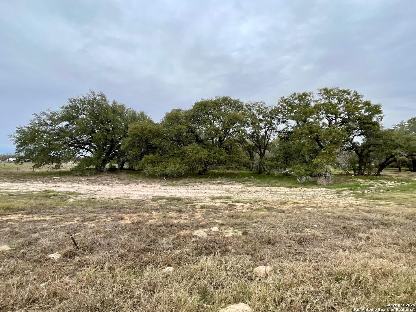 100 Pradera Rdg Drive Floresville, TX 78114 - Photo 5 of 17 a backyard of a house with lots of green space