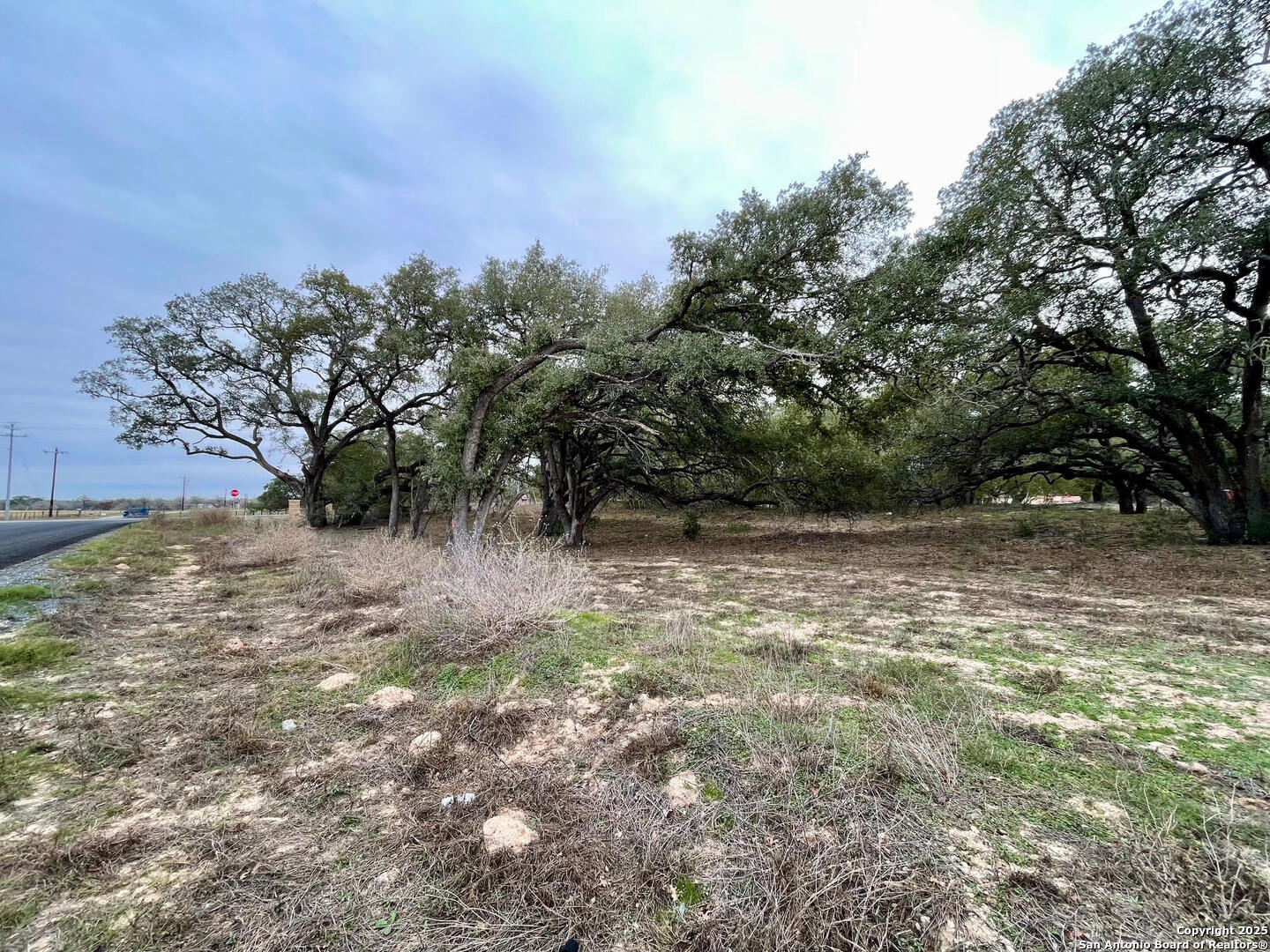 100 Pradera Rdg Drive Floresville, TX 78114 - Photo 9 of 17 a view of a yard with trees