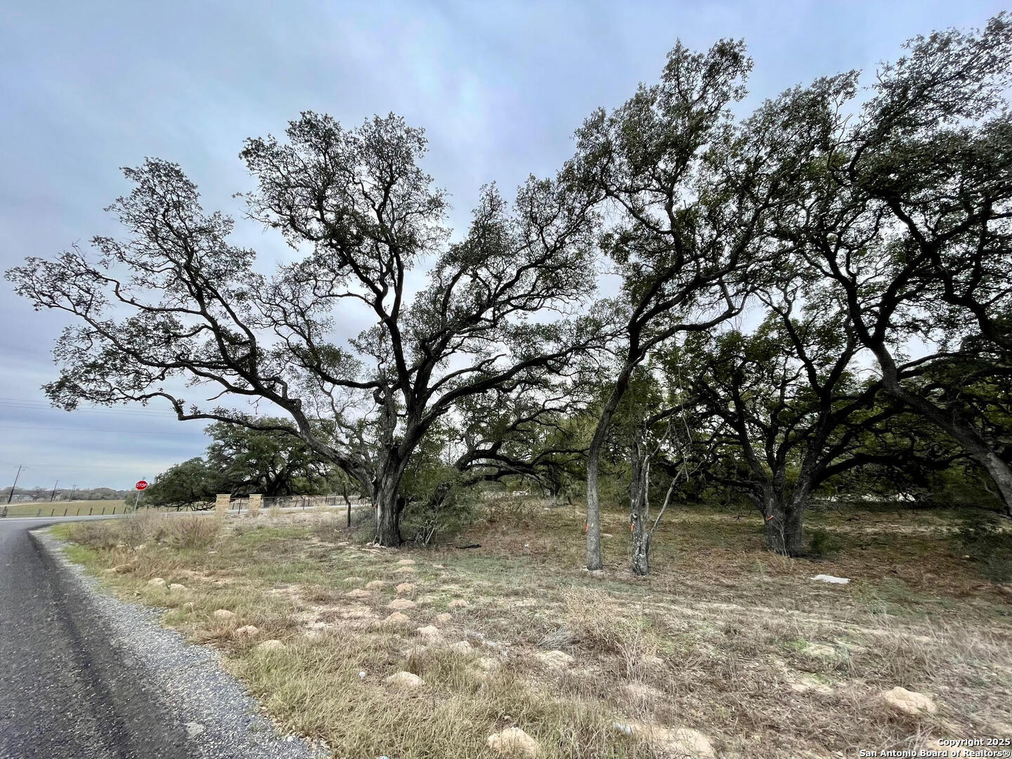 100 Pradera Rdg Drive Floresville, TX 78114 - Photo 10 of 17 a view of a trees with a tree