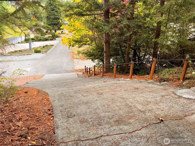 a view of a outdoor space with a tree
